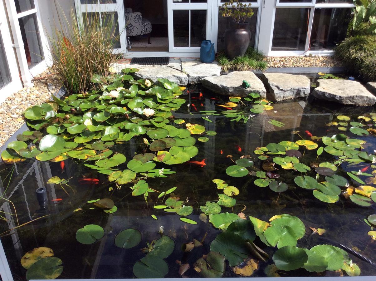 Huntington House Bed and Breakfast Tauranga Exterior foto